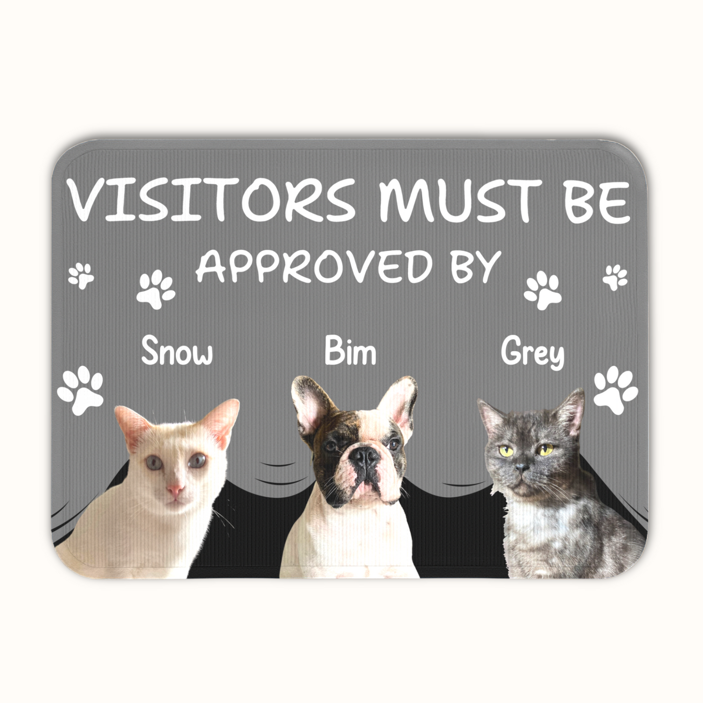 Personalized Pet Doormat, Visitors Must Be Approved By Doormat, Custom Pet Photo and Name, Gift for Pet Owners