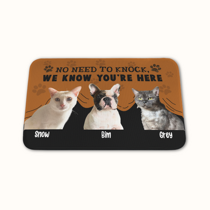 Personalized Pet Doormat, No Need To Knock Doormat, Custom Pet Photo and Name, Gift for Pet Owners