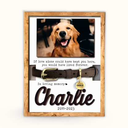 Personalized Wooden Pet Memorial Frame, Custom Pet Collar Holder Wooden Sign, Remembrance Gift For Loss Pet