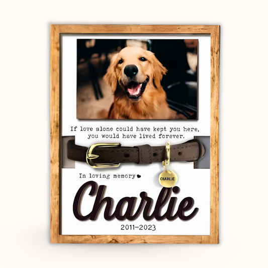 Personalized Wooden Pet Memorial Frame, Custom Pet Collar Holder Wooden Sign, Remembrance Gift For Loss Pet
